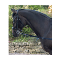 John Whitaker Elastisk Inspänningstygel