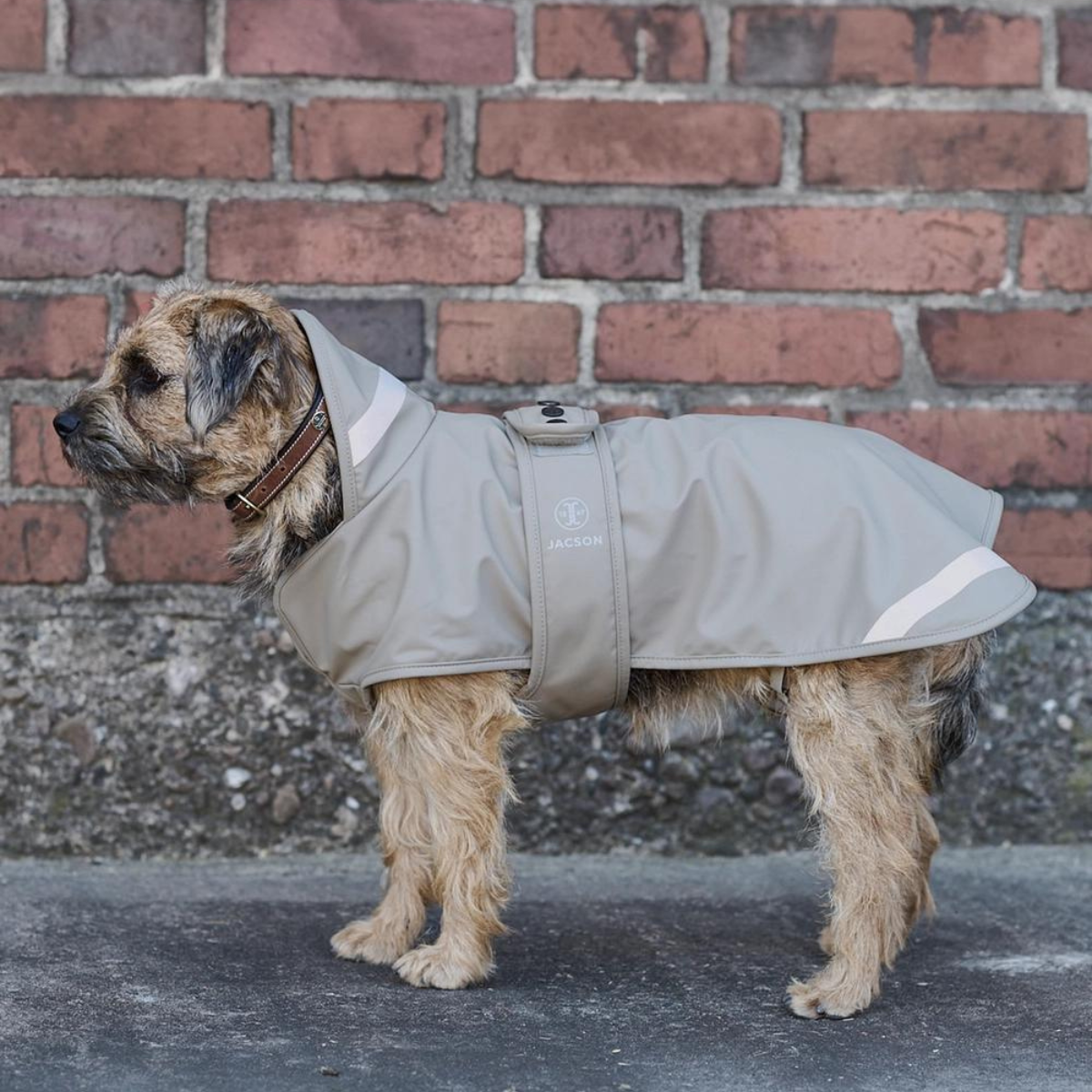 Jacson Barbro Regntäcke