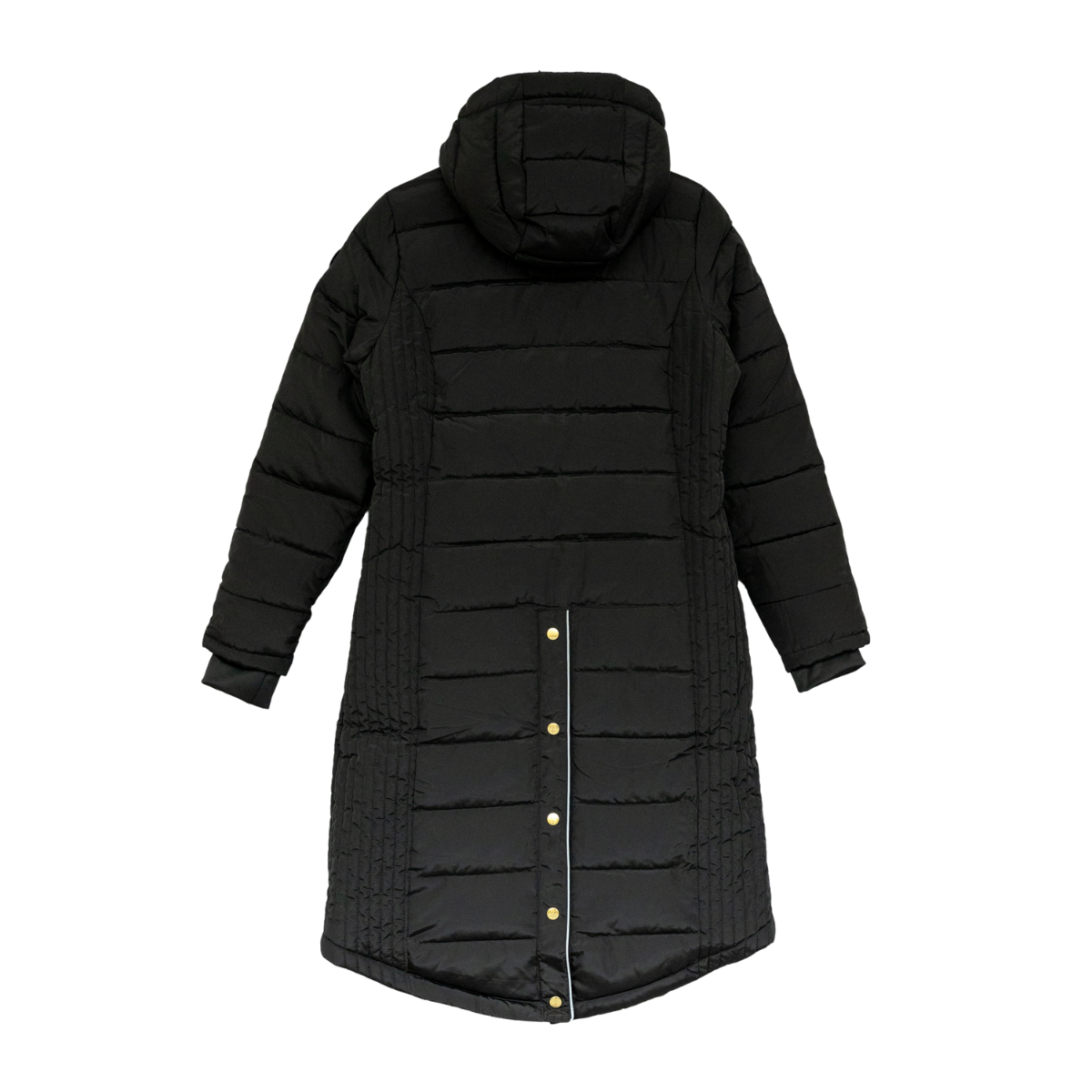 Jacson Molly Ridkappa