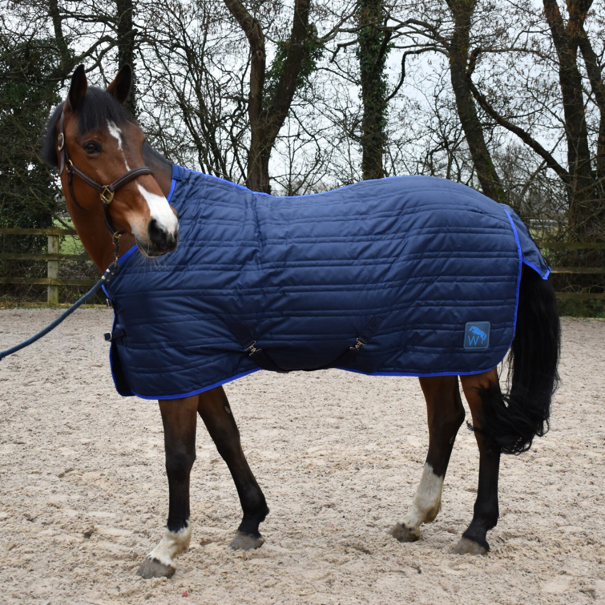 John Whitaker Pippa Stalltäcke 50g