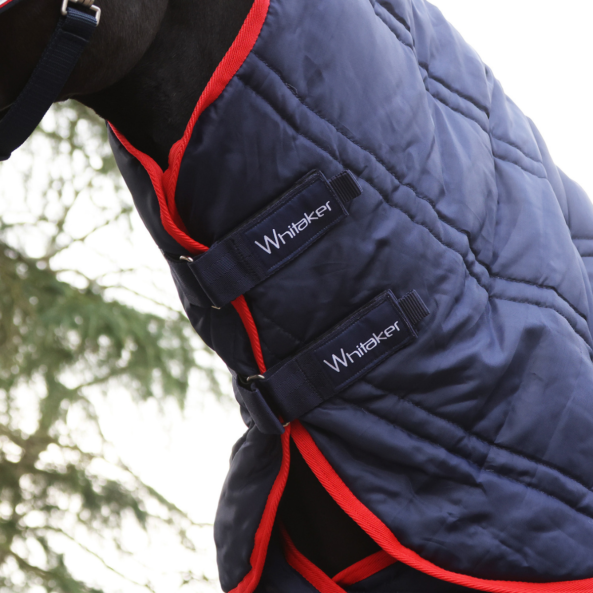 John Whitaker Rastrick V2 Stalltäcke Combo 250g