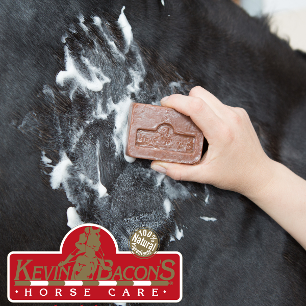 Kevin Bacon Hästtvål