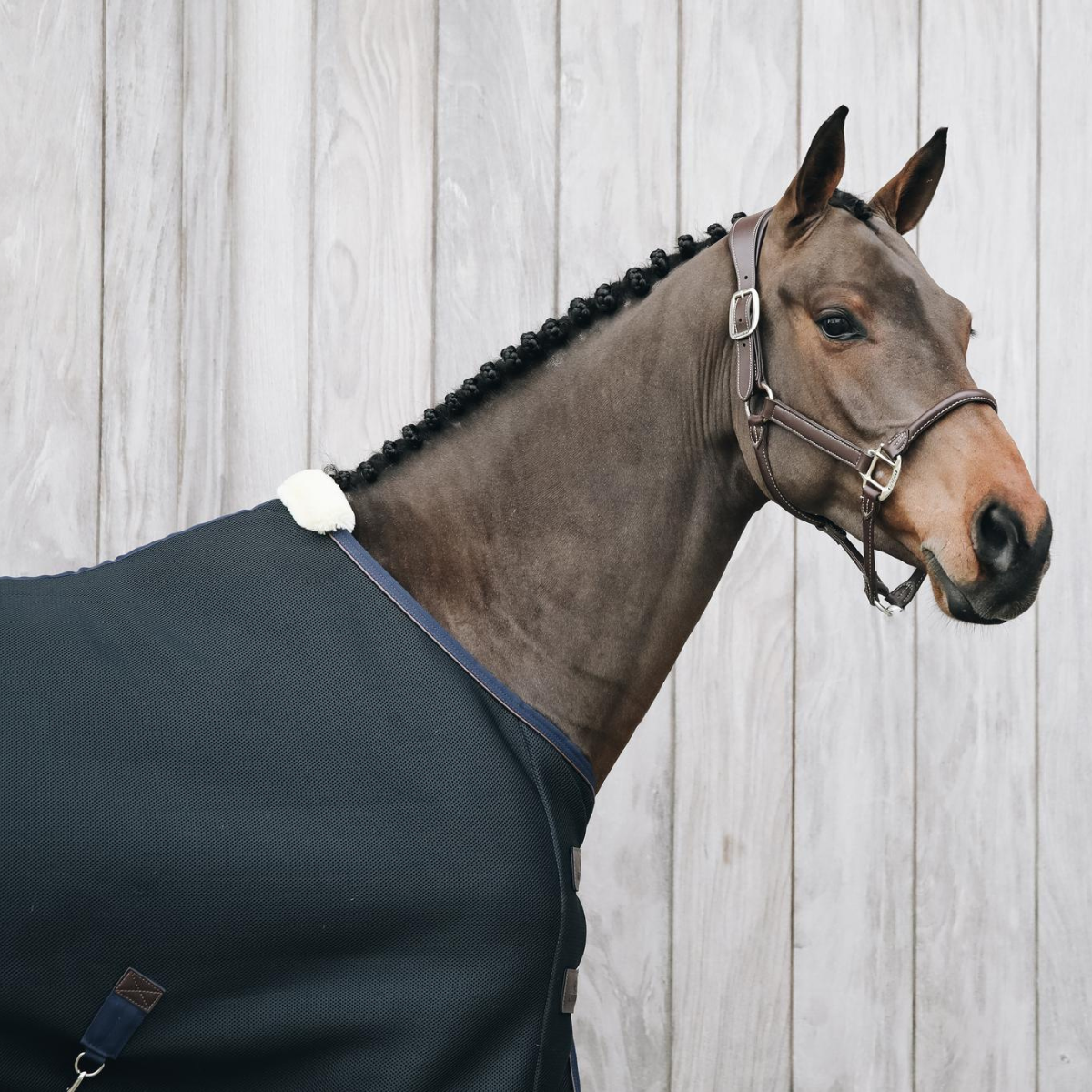 Kentucky 3D spacer Cooler sheet