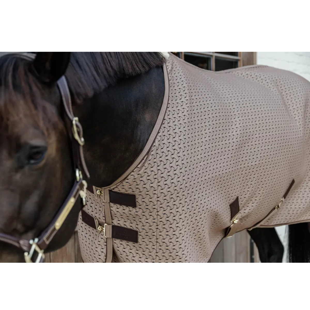 Kentucky 4D Spacer Cooler Sheet