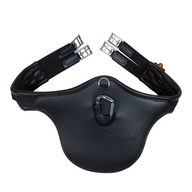 Kentucky Anatomisk Magplatta