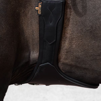 Kentucky Anatomisk Magplatta