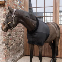 Kentucky Bow Protector