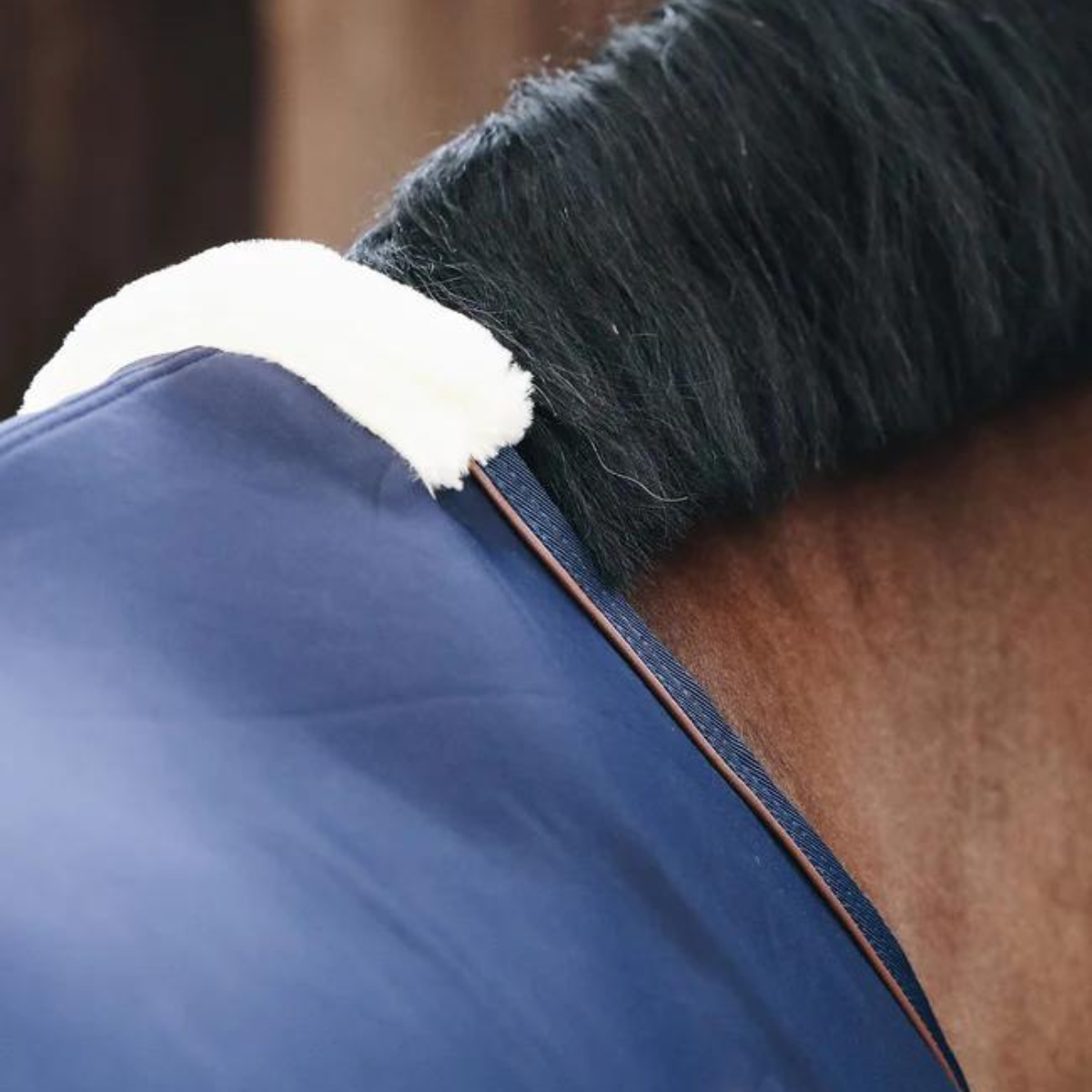 Kentucky Cooler fleece rug