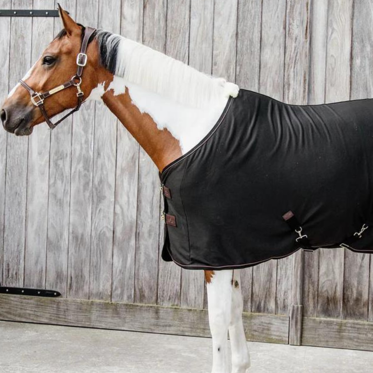 Kentucky Cooler fleece rug