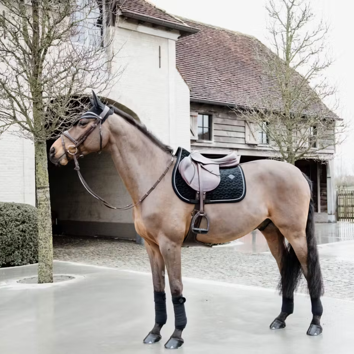 Kentucky Fly Veil Wellington Basic Velvet