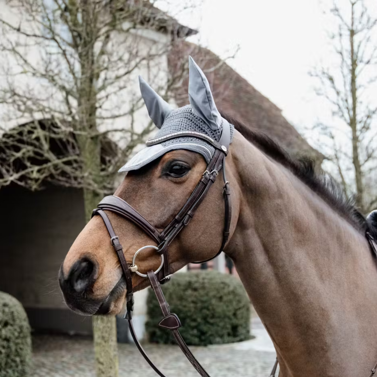 Kentucky Fly Veil Wellington Basic Velvet