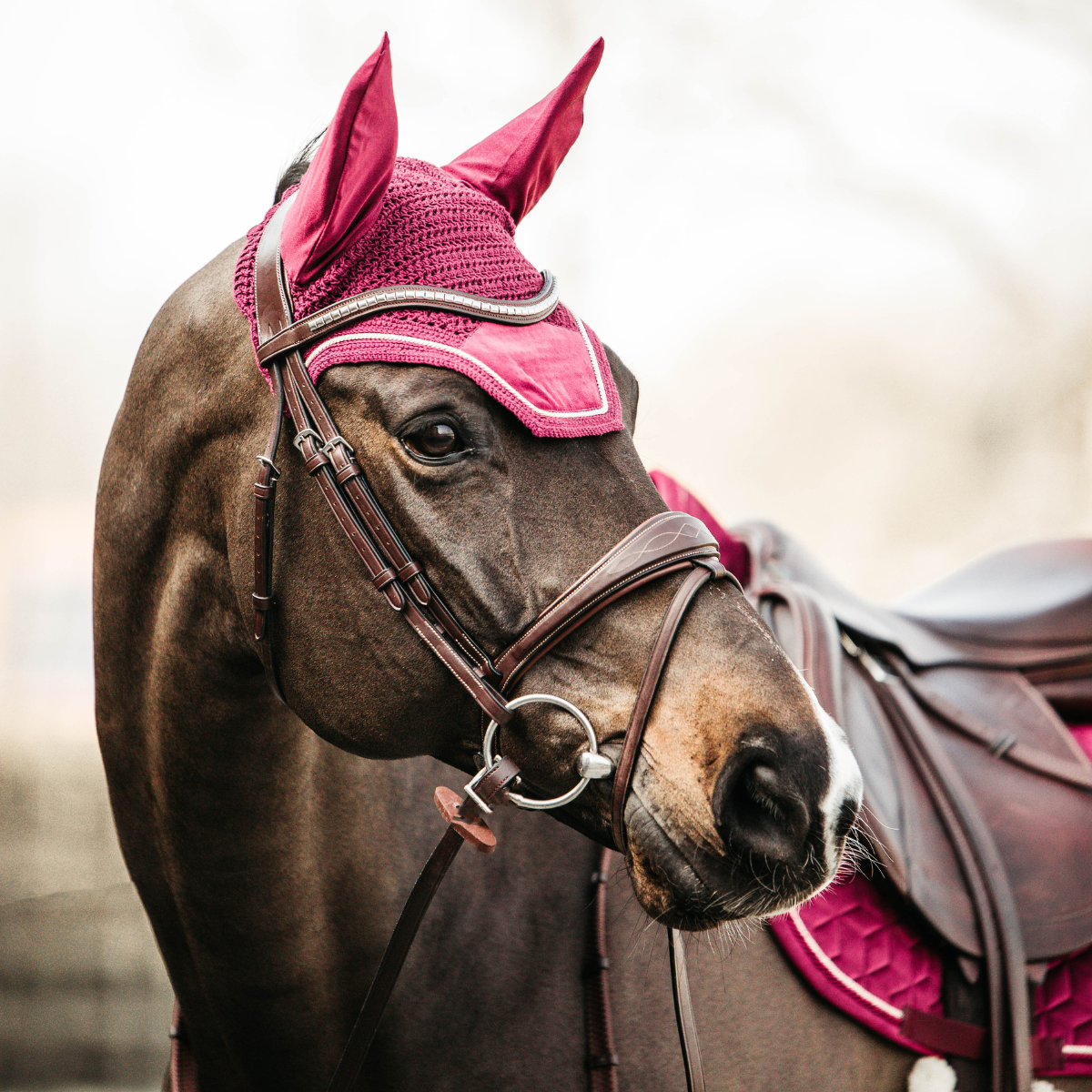 Kentucky Fly Veil Wellington Velvet