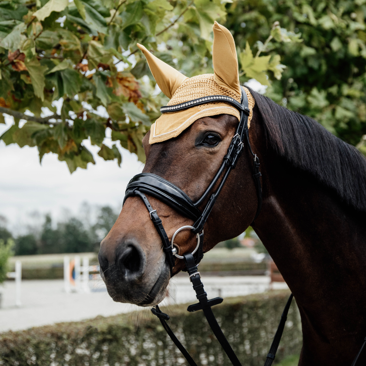 Kentucky Fly Veil Wellington Velvet