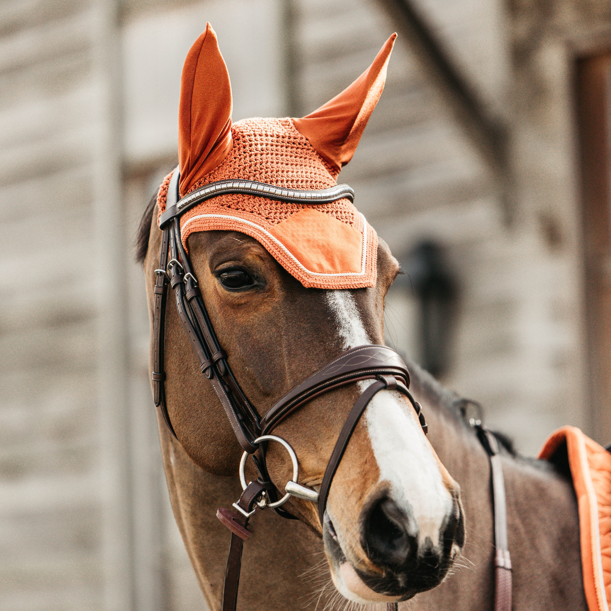 Kentucky Fly Veil Wellington Velvet