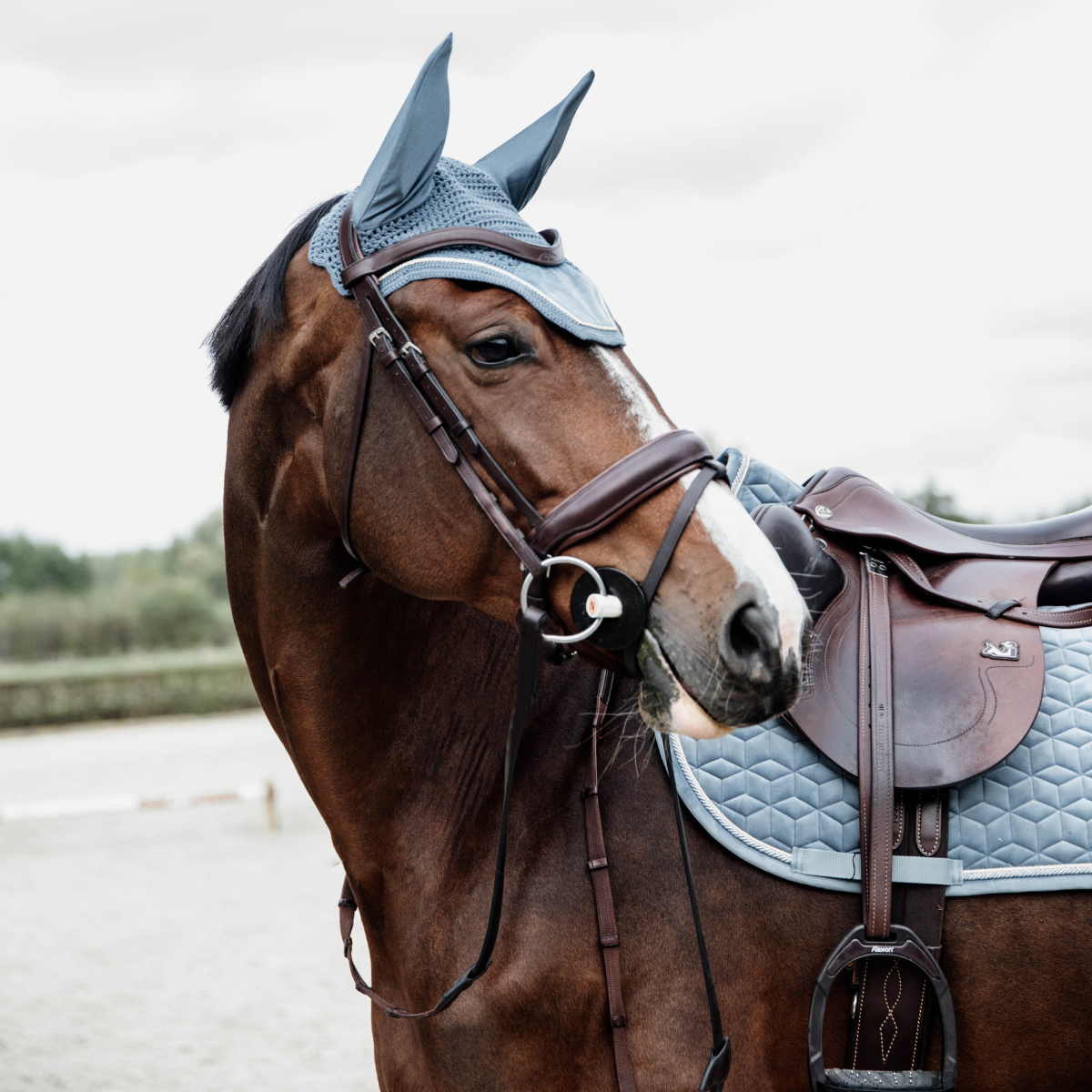 Kentucky Fly Veil Wellington Velvet Ponny