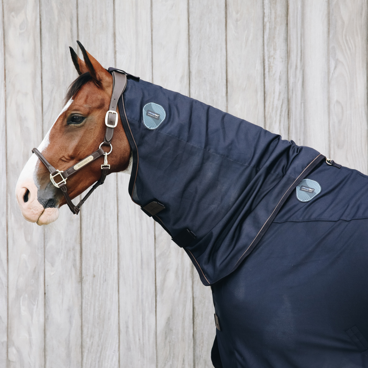 Kentucky Hals till Recuptex täcke