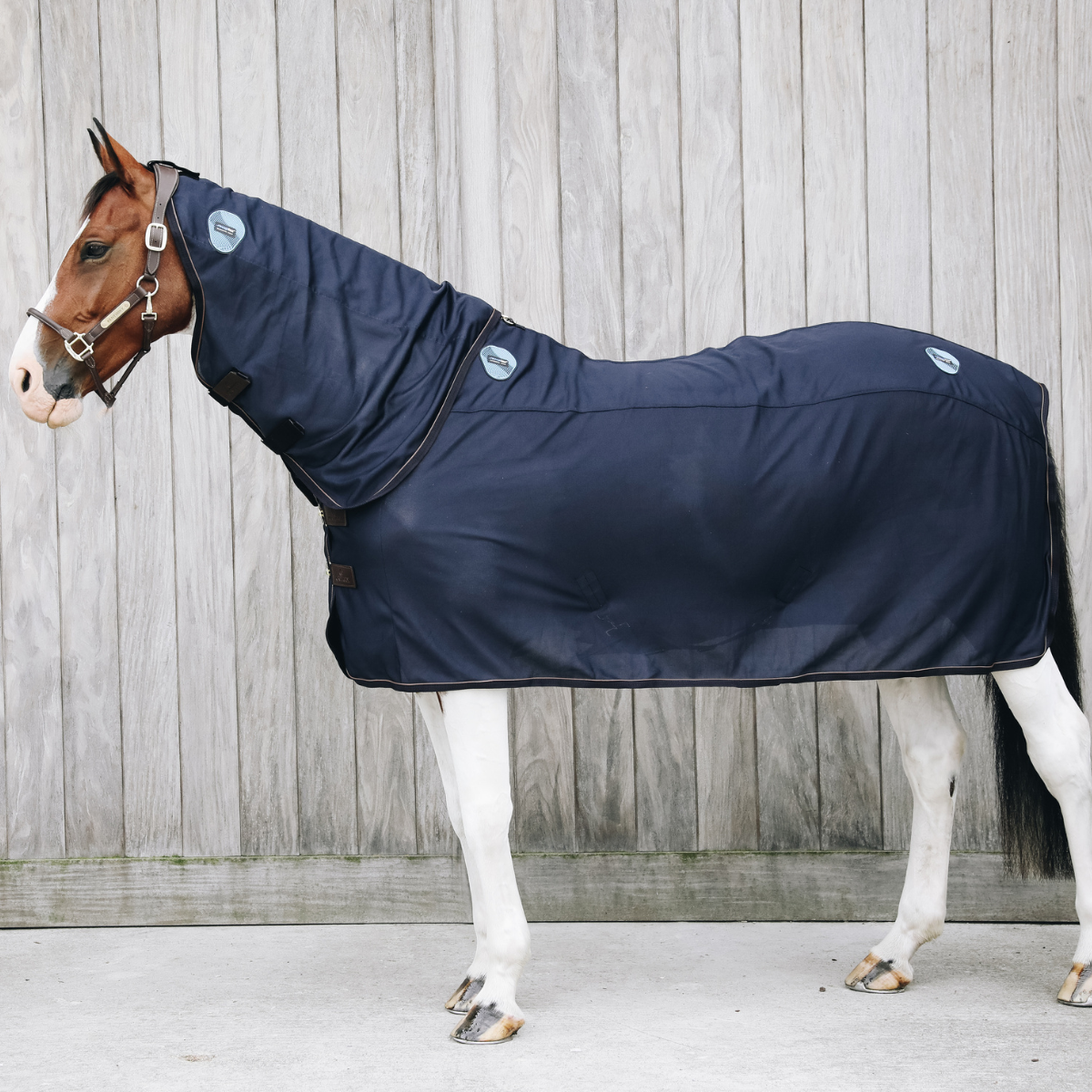 Kentucky Hals till Recuptex täcke