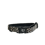 Kentucky Dog Collar Leopard