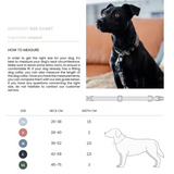 Kentucky Hundhalsband Leopard