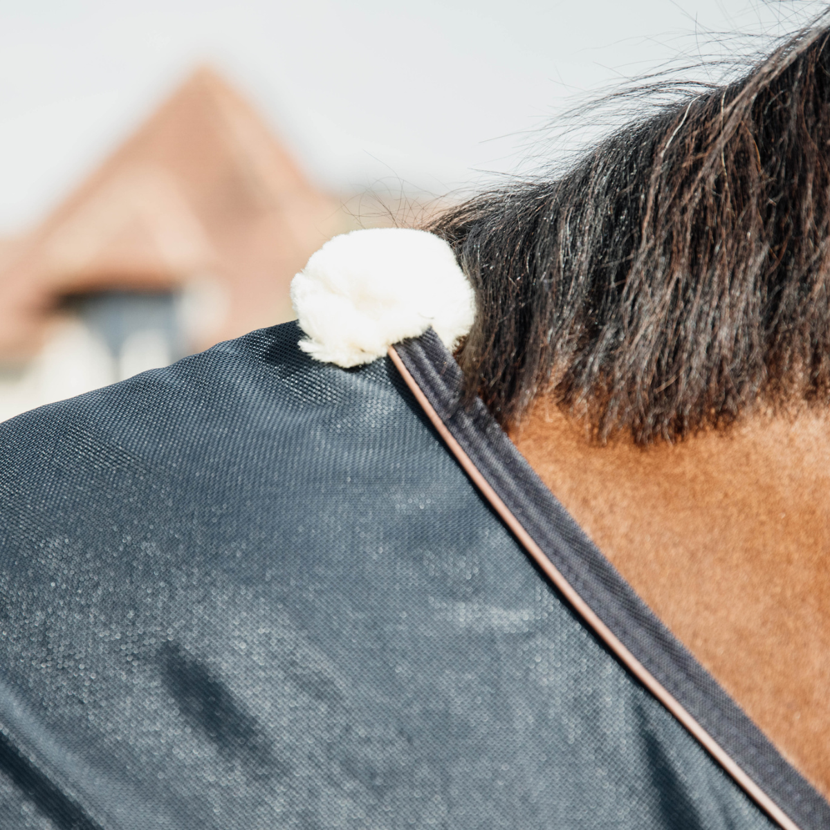 Kentucky Mesh fly sheet