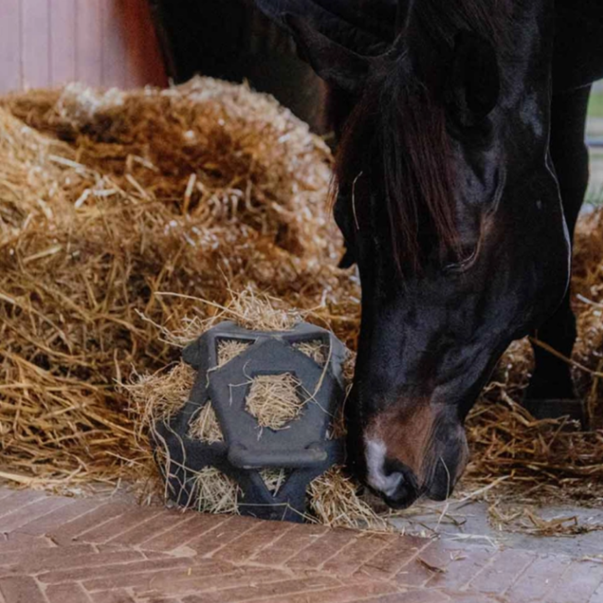 Kentucky Relax Hay Ball