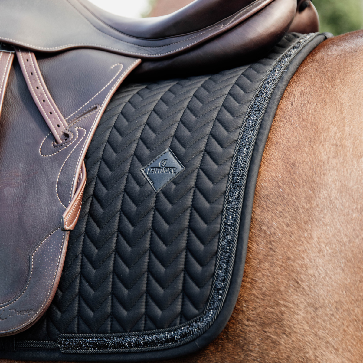 Kentucky Schabrak Glitter Stone Hopp