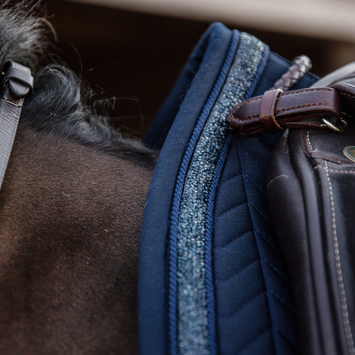 Kentucky Schabrak Glitter Stone Hopp