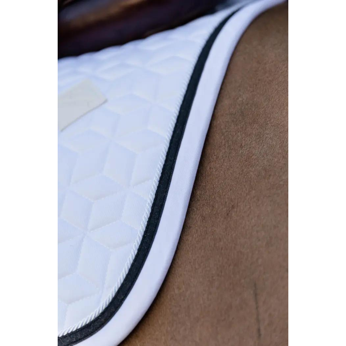 Kentucky Schabrak Glitter rope hopp