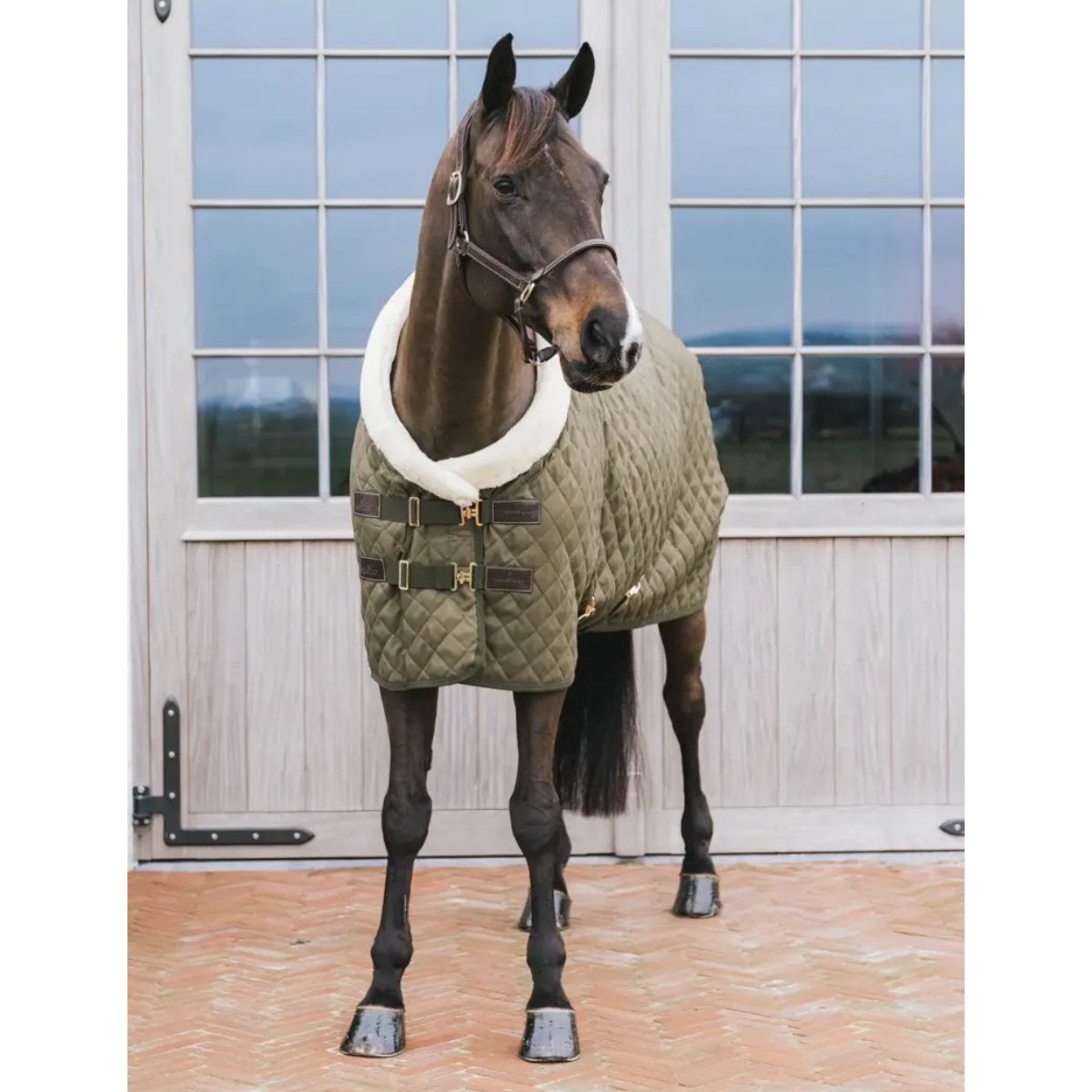 Kentucky Show rug 160g Kaki