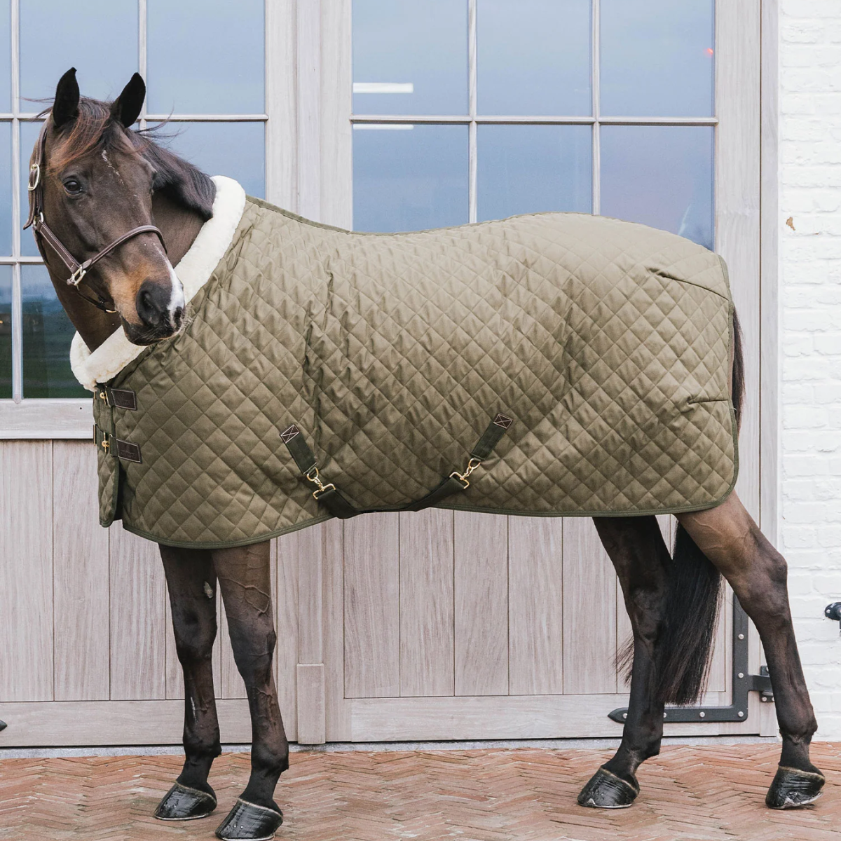 Kentucky Show rug 160g Kaki