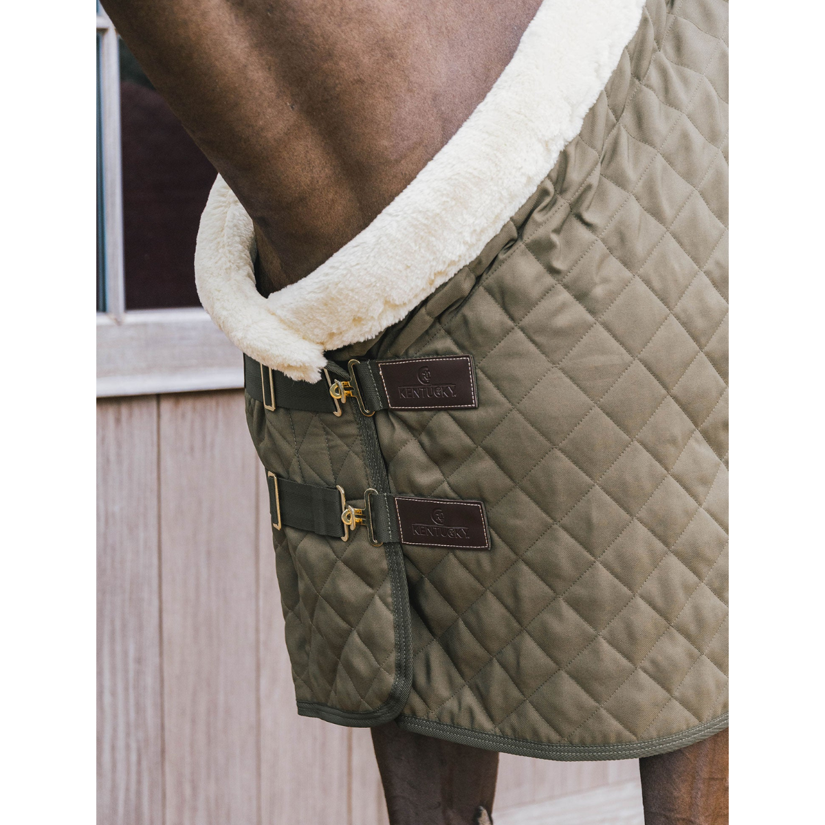 Kentucky Show rug 160g Kaki