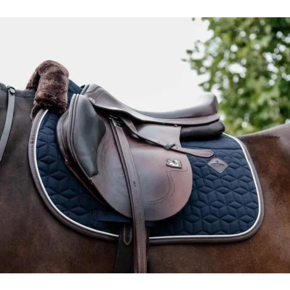 Kentucky Skin Friendly Shabrak jump