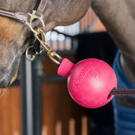 Kentucky Protective ball for wall and tie-down