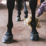 Grooming Deluxe Therapeutic Wool