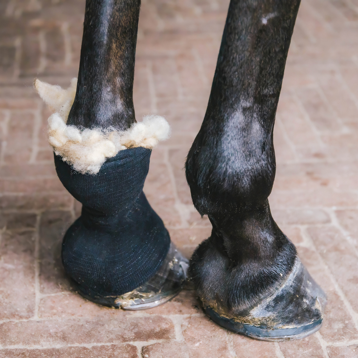 Grooming Deluxe Therapeutic Wool