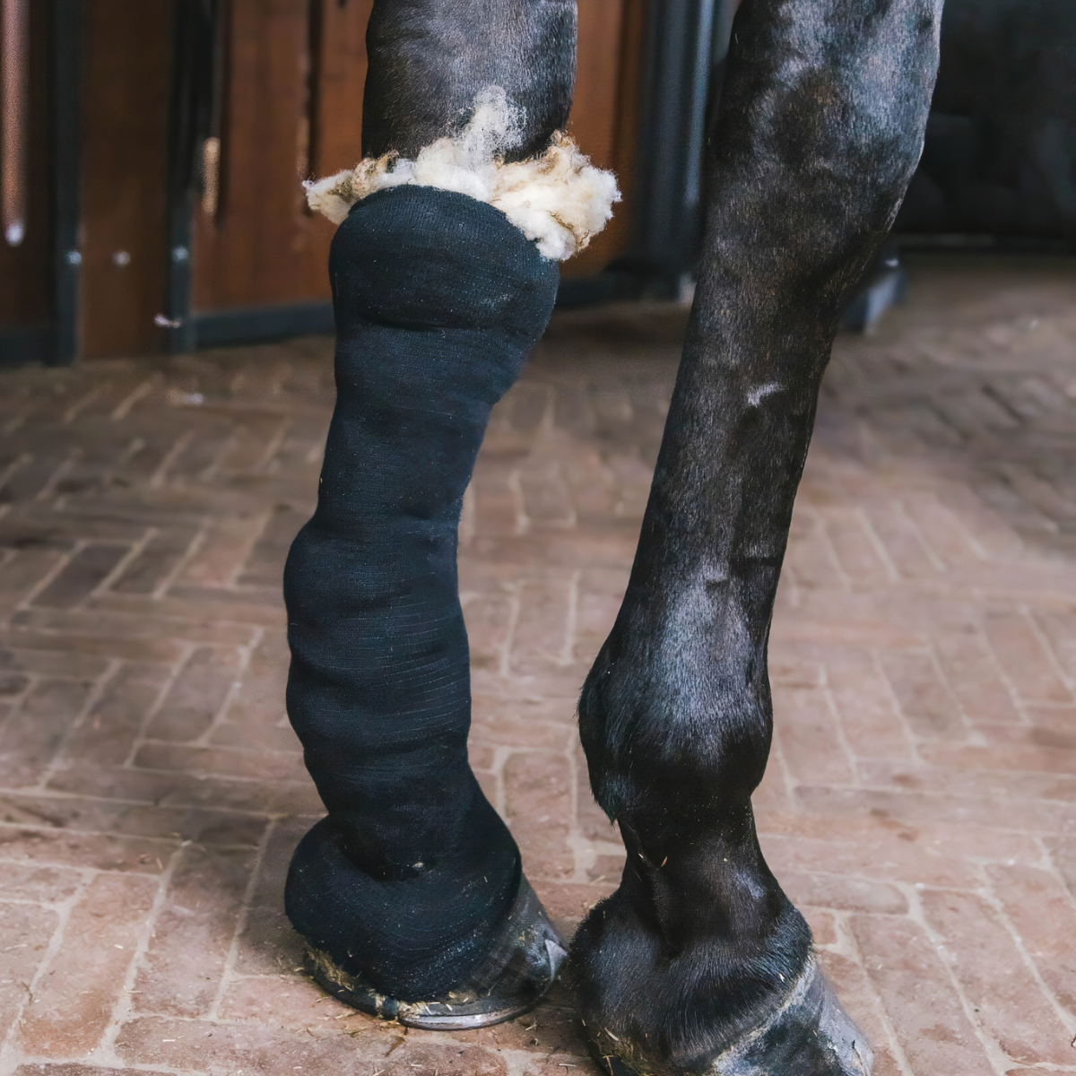 Grooming Deluxe Therapeutic Wool