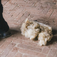 Grooming Deluxe Therapeutic Wool