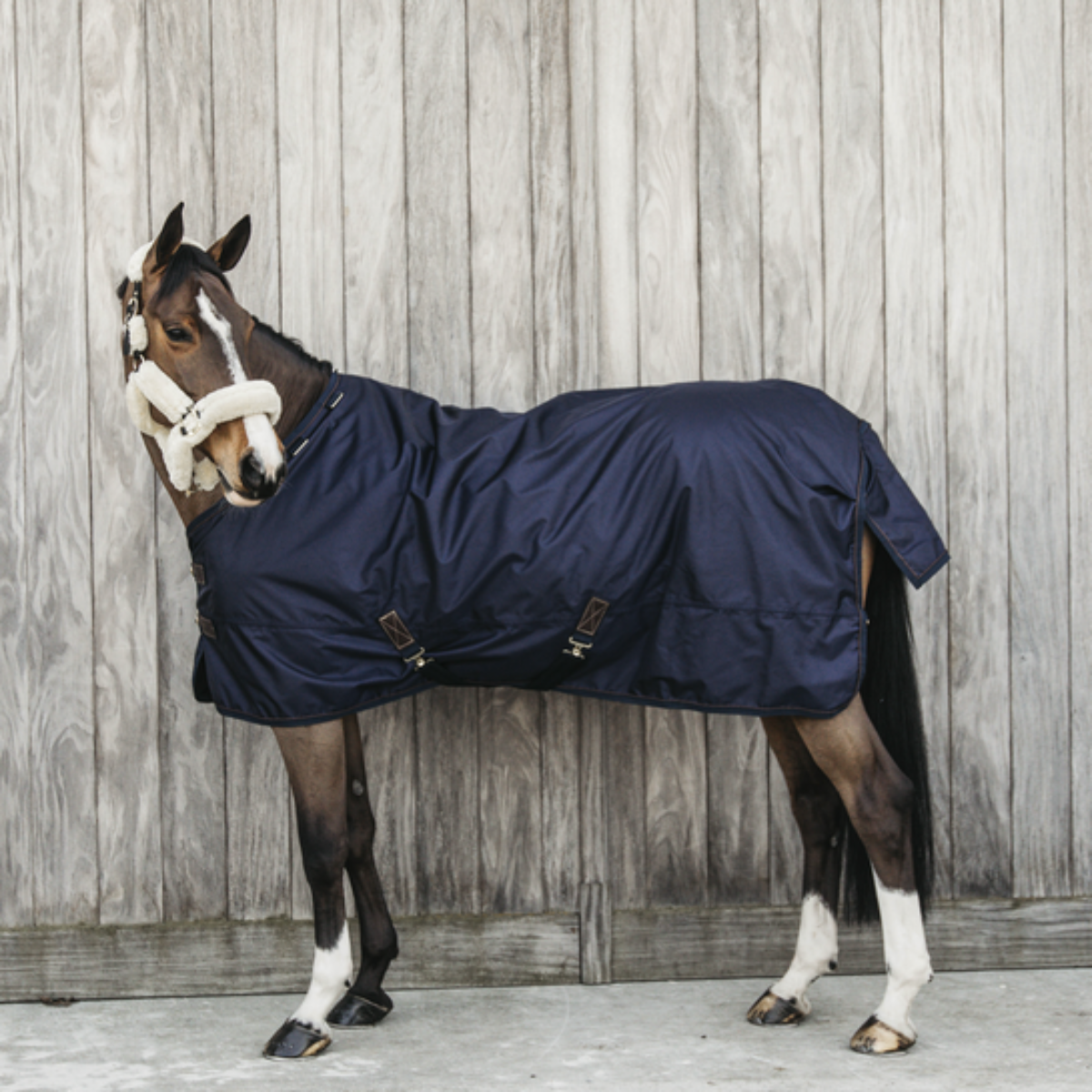 Kentucky Turnout rug all weather waterproof pro 160g