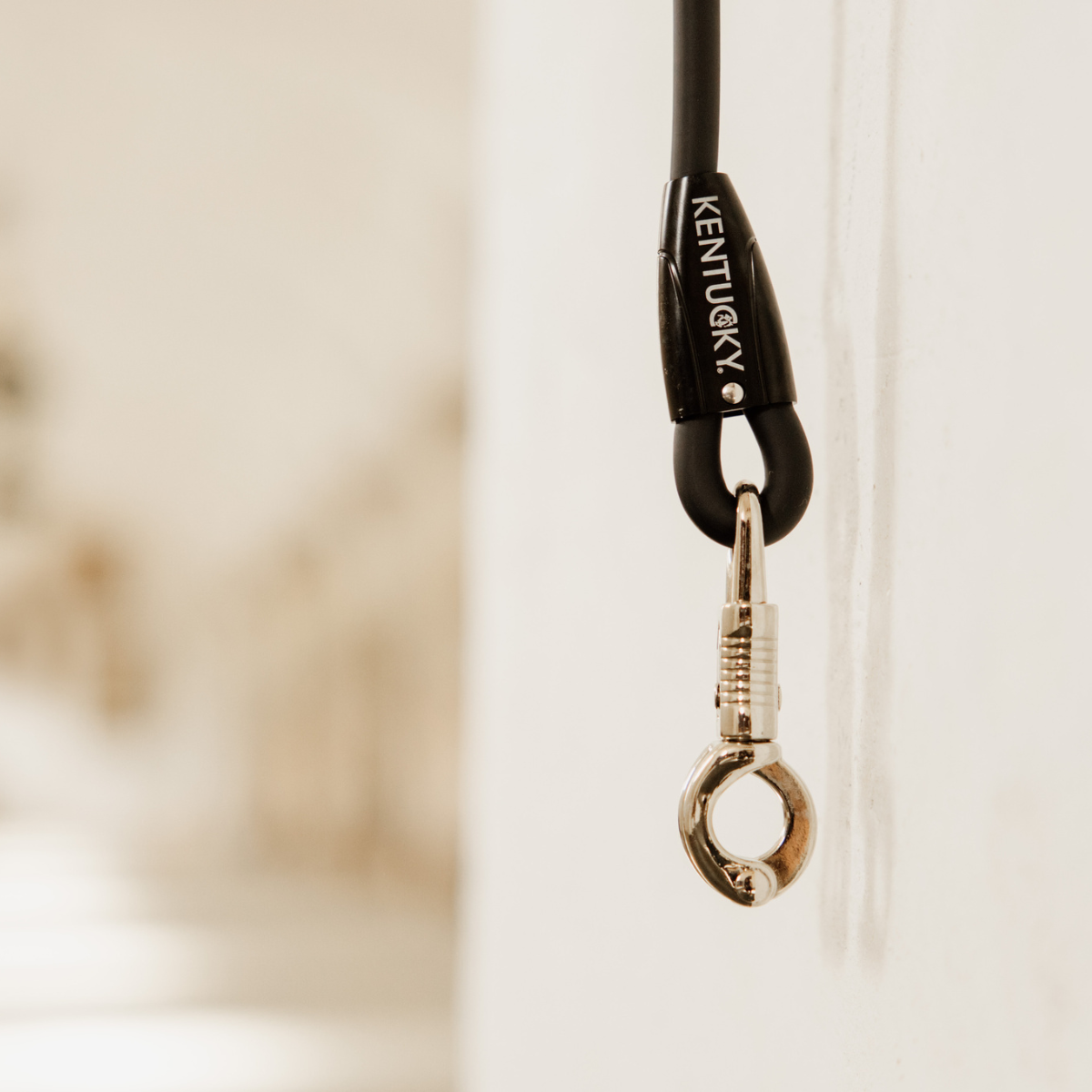 Kentucky Uppbindningsgrimskaft Silicon