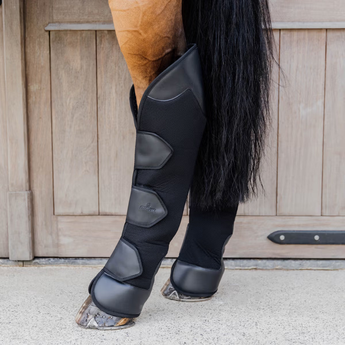Kentucky 3D Spacer Transport Protection Rear