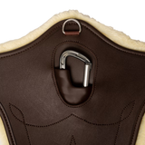 Kentucky Anatomical Abdominal Plate