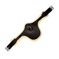 Kentucky Anatomical Abdominal Plate