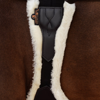 Kentucky Anatomical Abdominal Plate