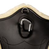 Kentucky Anatomical Abdominal Plate