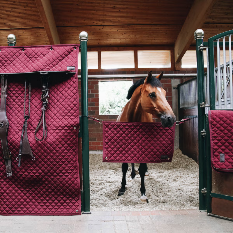 Kentucky Box Curtain