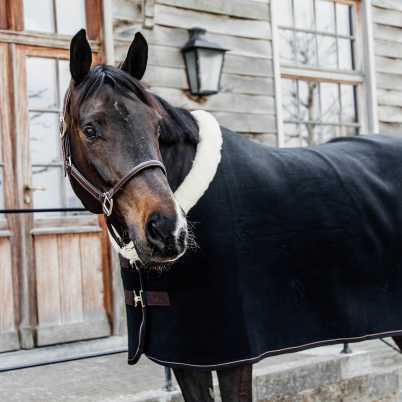 Kentucky Fleece Show Rug Heavy