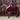 Kentucky Fleece Show Rug Heavy