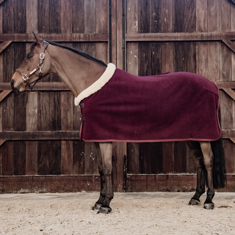 Kentucky Fleece Show Rug Heavy