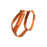 Kentucky Harness Active Velvet Dog Harness