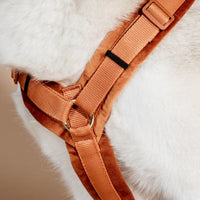 Kentucky Harness Active Velvet Dog Harness
